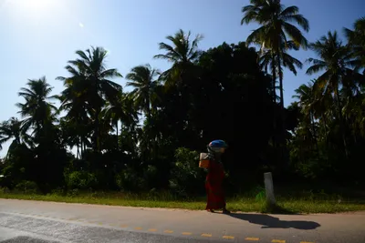 DSC_8297 (Large).JPG